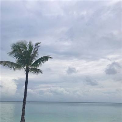 乐发app最新版下载