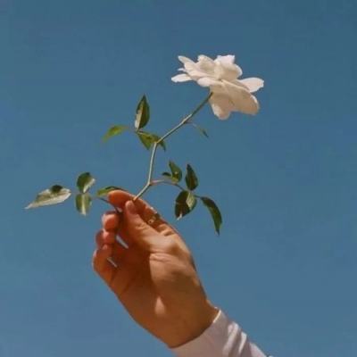 2023澳门资料大全正版app下载